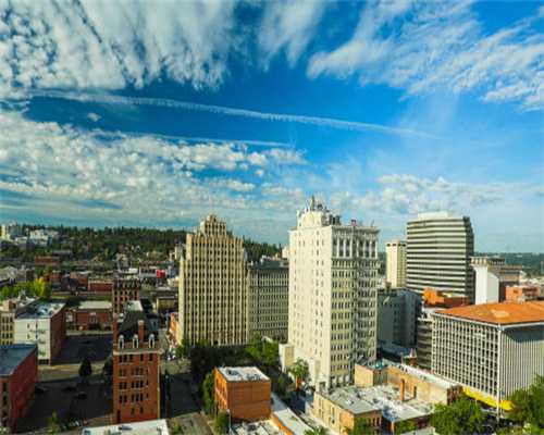 经营主体开办“一分不用花、一天不用等” 哈尔滨厚植民营企业发展沃土