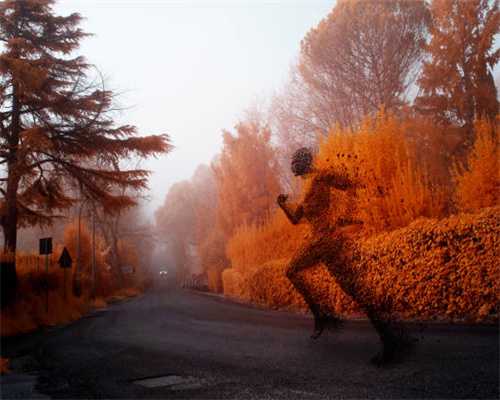 【重阳节特辑】与法同行，情暖重阳——北仓法庭开展《民法典》普法宣传活动