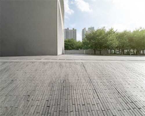 利辛文德艺墅 买房送院子，还是实景现房