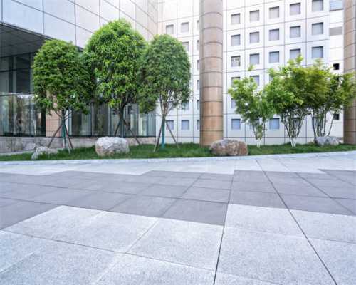 深圳再现日光盘，同片区业主报价却还在下跌