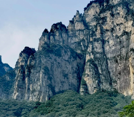 破产重整的银亿 陨落还是涅槃