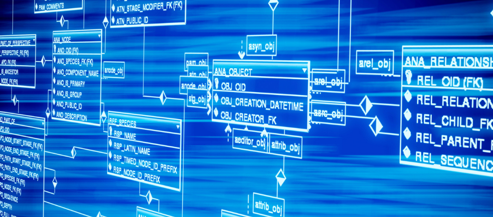 “银十”超“金九”！湖北楼市成色几何？